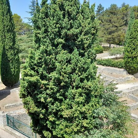 Grande Terrasse Et Vue Sur Le Site Antique Apartment Vaison-la-Romaine Exterior foto